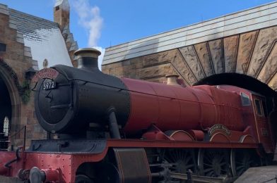 Tips for Plus-Size Guests at Universal Orlando Resort