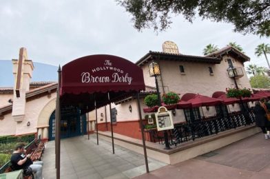 REVIEW: This Disney World Restaurant is SO Good That We’re BACK Just One Month Later!