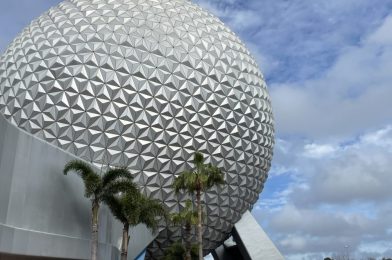 PHOTO REPORT: Epcot 2/12/21 (More Color, Love, Lines and Leaves)