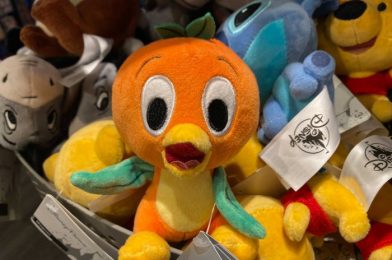 Orange Bird Shoulder Pet Brings a Ray of Sunshine