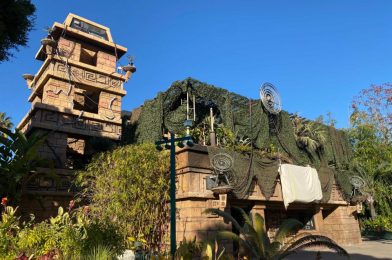 PHOTOS: More Wires and Plants Added to Star Wars Trading Post at Disneyland Resort