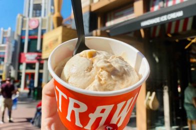 REVIEW: Cinnatopia Cinnamon Bun Ice Cream From Salt & Straw Becomes a Favorite in the Downtown Disney District