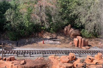 PHOTOS: Synthetic Railroad Ties Installed in Frontierland for Walt Disney World Railroad at the Magic Kingdom