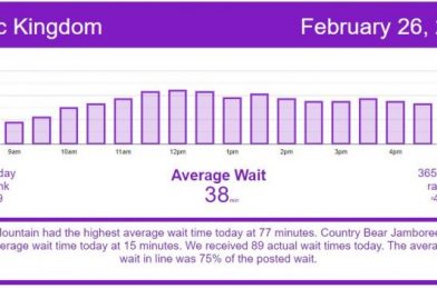 Another Average Day – Disney World Wait Times for Friday, February 26, 2021