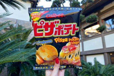 REVIEW: You Can Eat Your Coffee With Disney’s World’s Latest Potato Chips!