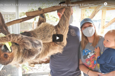 CENTRAL FLORIDA’S EXOTIC ANIMAL SANCTUARY