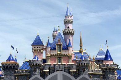 50% of Disneyland Guests Were Passholders According to Analysts