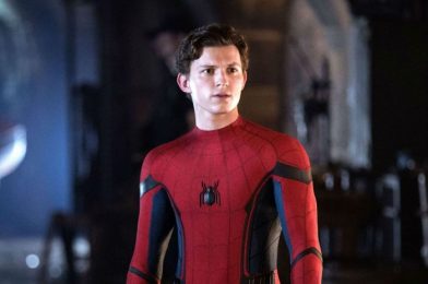 The Third Spider-Man Movie Now Has a NAME!