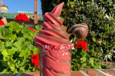 REVIEW – Another NEW Flavor of Dole Whip Debuts at Disney Springs