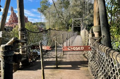 Important Tips (and a Little-Known Fact!) for Your Next Visit to Tom Sawyer Island