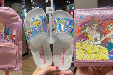 PHOTOS: NEW Disney Princess Accessories Now Available at Disneyland Resort