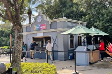 A Must-eat EPCOT International Festival of the Arts Dessert!