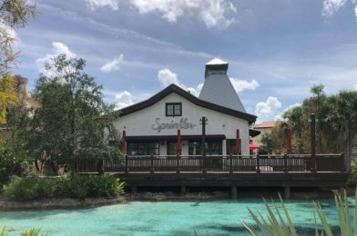 REVIEW: We Tried a Crunchy (!!) Cupcake in Disney World!