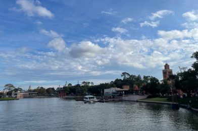 VIDEO: We Spotted Wedding in EPCOT Today!