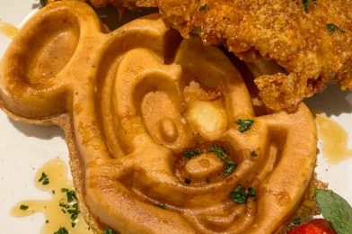 A Disney Springs Restaurant is Serving Up Chicken and TATER. TOT. WAFFLES.