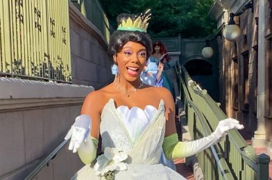 You Don’t Have to Kiss A Frog To Get Your Hands On Disney’s New Tiana Bag!