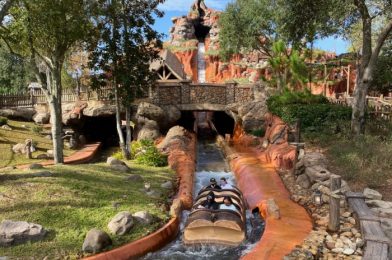 Building Permit Filed for Disney’s Splash Mountain Ahead of Retheme