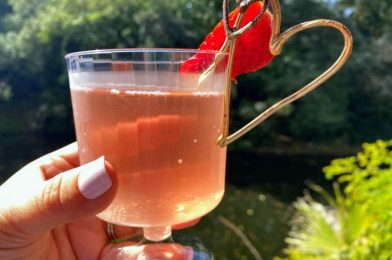 Disney World’s New Rosé Drink Sparkles in More Ways Than One!