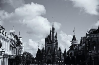 Why We Love Walt Disney World