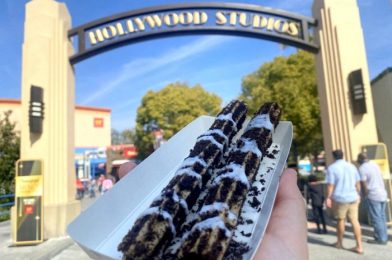 Review: Are the Chocolate Pineapple Churros a Must-Try or a Hard Pass in Disneyland Resort?