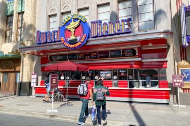 Oh, BOY! Get Your FRIES in a Mickey Bowl in Disneyland Resort