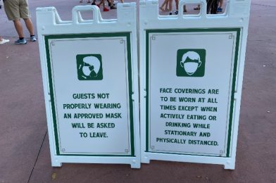 NEWS: A New Mask Policy Will Make Dining at Disney VERY Different