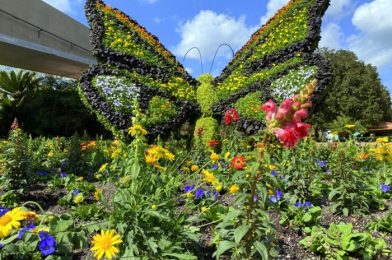 PHOTOS: Love Dinosaurs? Check Out This NEW Garden in EPCOT!