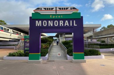 PHOTOS: EPCOT Monorail Line Reopening Soon, Preparations Underway at Walt Disney World