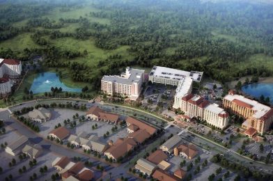 Four Flamingo Crossings Hotels Adding Disney Resort Guest Benefits Starting Today