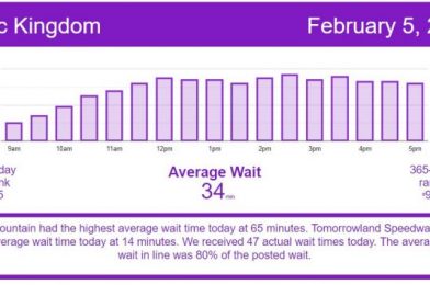 Crowds Increase as Pleasant Weather and the Weekend Arrives – Disney World Wait Times for Friday, February 5, 2021