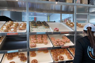 Let’s Try Everglazed Donuts & Cold Brew’s Thin Mint Cookie Donut!