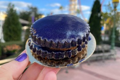 REVIEW: Mardi Gras Moon Pie is the Perfect Treat from the Tribute Store at Universal Studios Florida