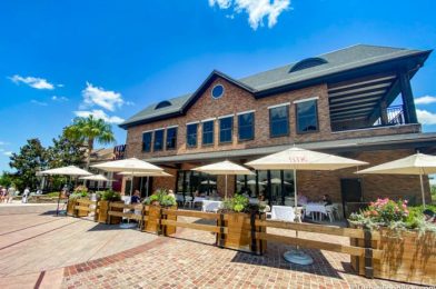 Find Out How to Score a Happy Hour DEAL in Disney Springs!