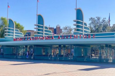 PHOTOS: We ALREADY Spotted the First ‘A Touch of Disney’ Booths!