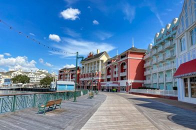 PHOTOS! Mystery Construction on a Permanently Closed Disney World Spot!