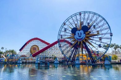 Cheese + More Cheese + Cheese Sandwiches = Sonoma Terrace in Disneyland