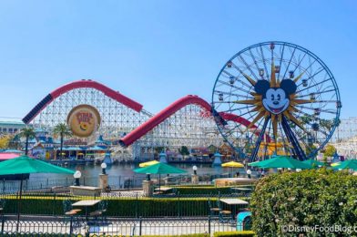 DFB Video: Latest Disney News: Disneyland is OPENING Soon, Disney World Gets Crowded Over Spring Break & MORE