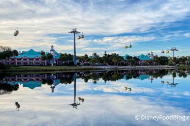 PHOTOS: Skyliner to EPCOT Temporarily Down