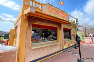 Review: There’s a Reason Citrus Blossom Has Been at EPCOT for OVER a Year!