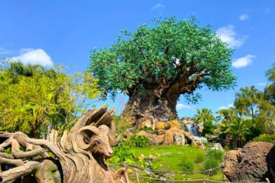 Animal Kingdom Is Confusing Right Now…But We Have a Way to Fix That