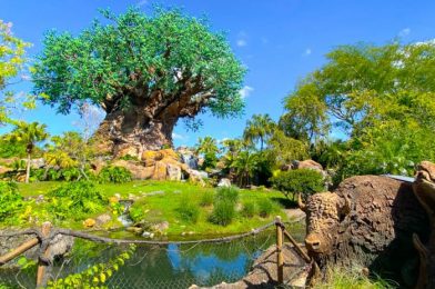 Our Day in Disney’s Animal Kingdom: A Backstage Queue, Crowds, and a Mask SALE!