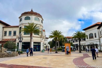 Did You Know This Disney Springs Spot Has a Secret Drink Menu?!