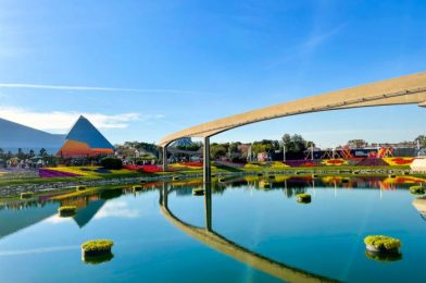 Bunny Butts Are Everywhere at Disney World, and We Honestly Don’t Mind!