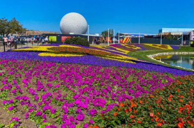 EPCOT’s Lemon Cheesecake Funnel Cake is a Flower & Garden Festival MUST-GET