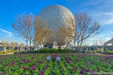 Our Day in EPCOT: Flower and Garden Festival PRICES and a Closed Dining Location