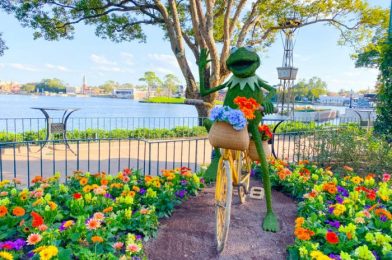 Get Ready to ROCK! Bands Announced for EPCOT’s Flower and Garden Festival