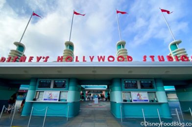 Review: There’s a New HIDDEN Brownie in Disney World