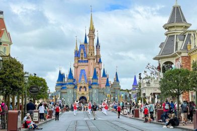 DFB Video: 18 Things You’re Wrong About At Disney World