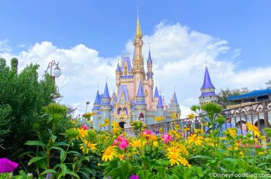 Disney World Releases MORE Park Hours in May