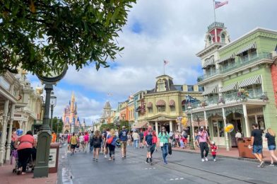 DFB Video: 30 Things the Disney World Pros Do